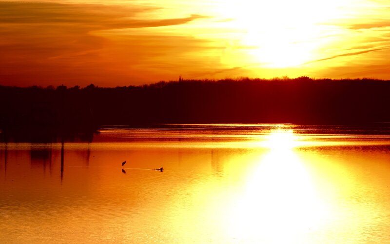 Ducks on Lake at Sunset — Orange, Serene