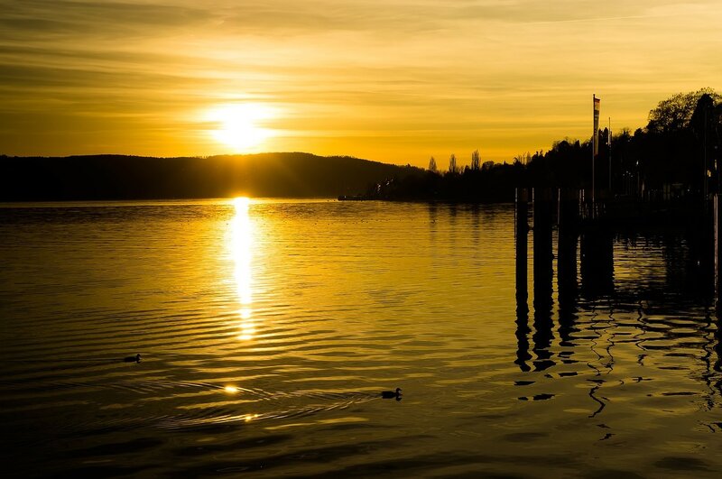 Ducks on Lake at Sunset — Yellow, Serene