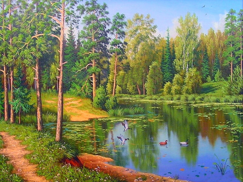 Ducks over Pond