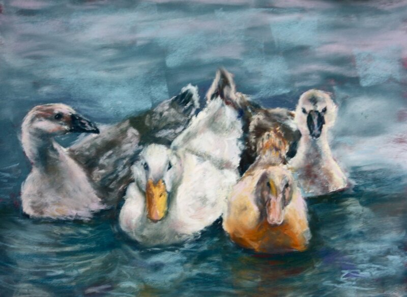 Ducks Swimming in Water — Blue
