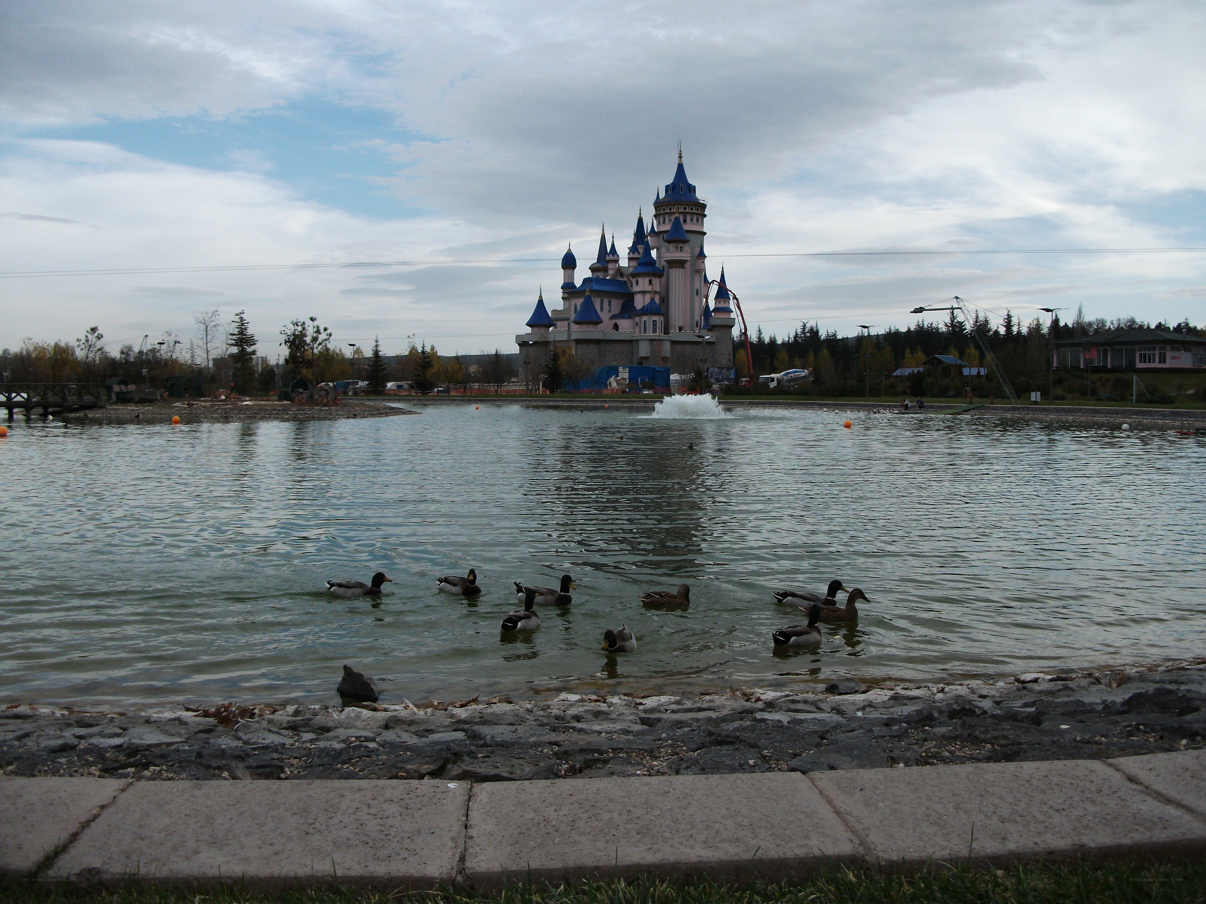 Ducks swimming near a castle