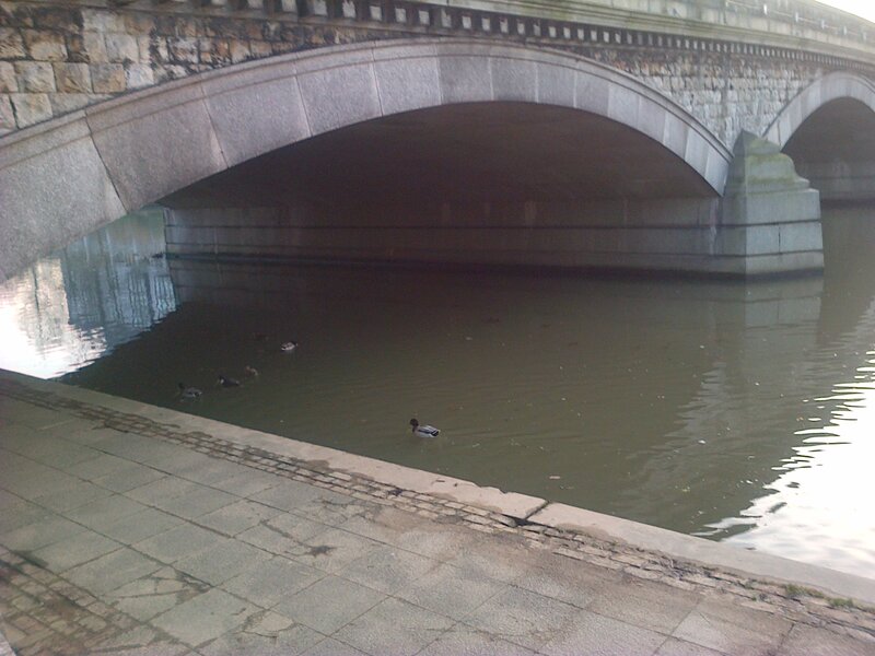 Ducks under a Stone Bridge