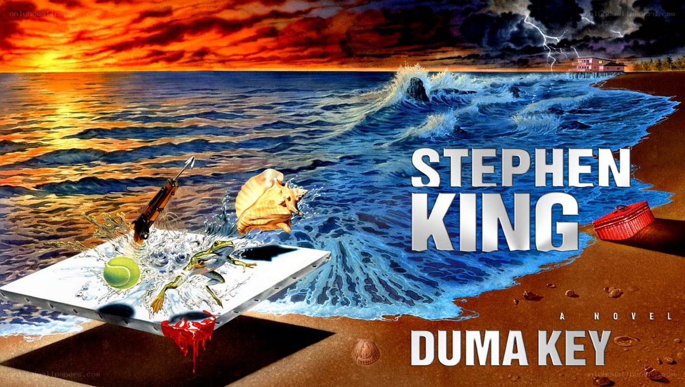 Duma Key book cover