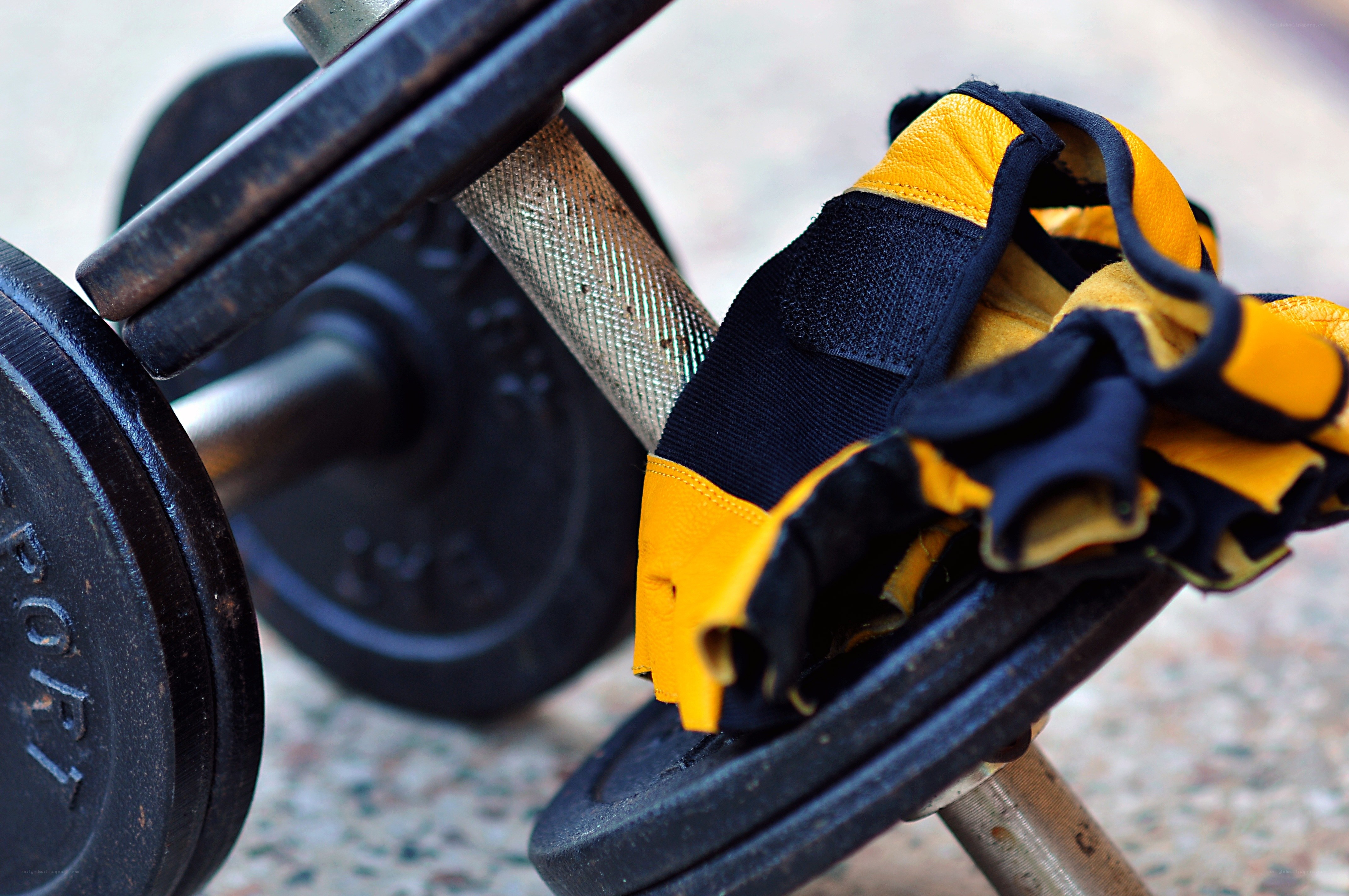 Dumbbell with workout gloves