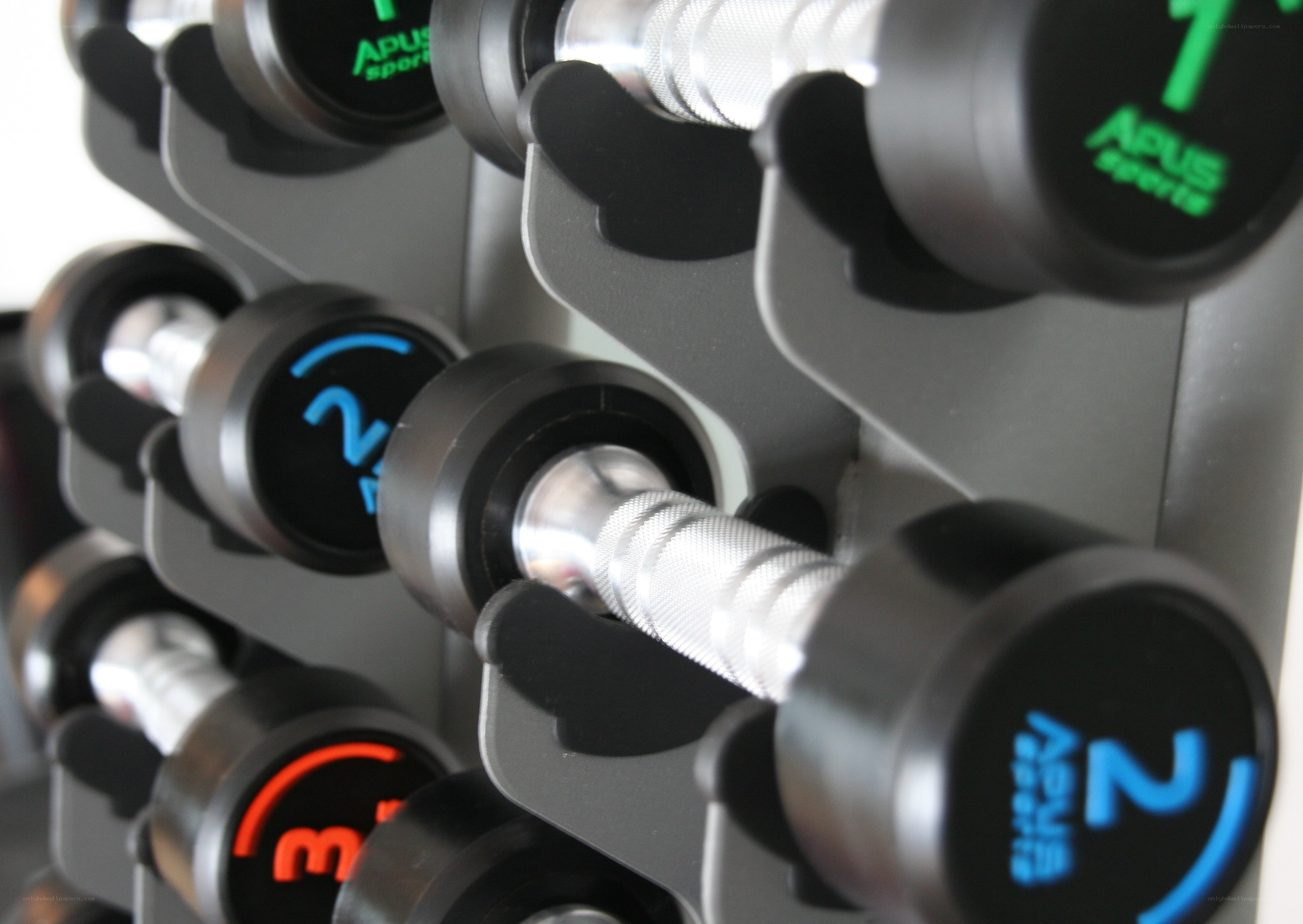 Dumbbells on a rack