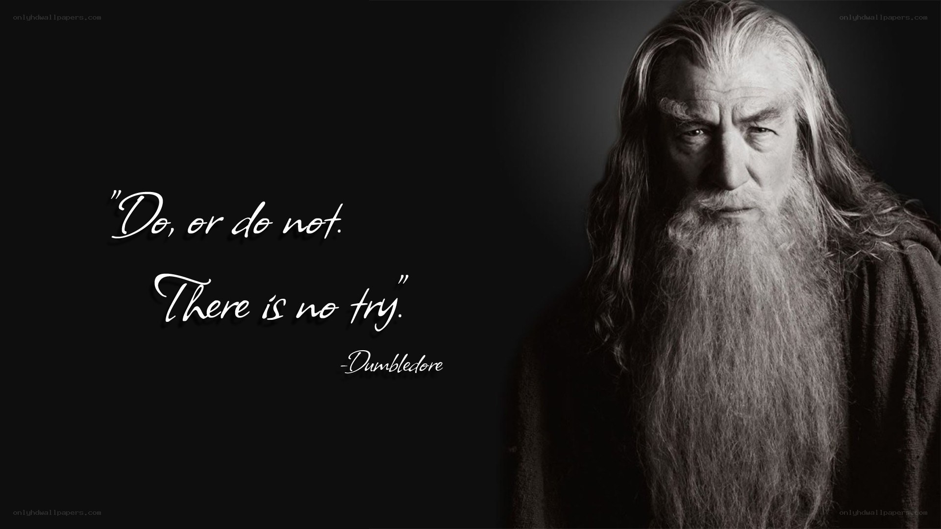 Dumbledore quote image