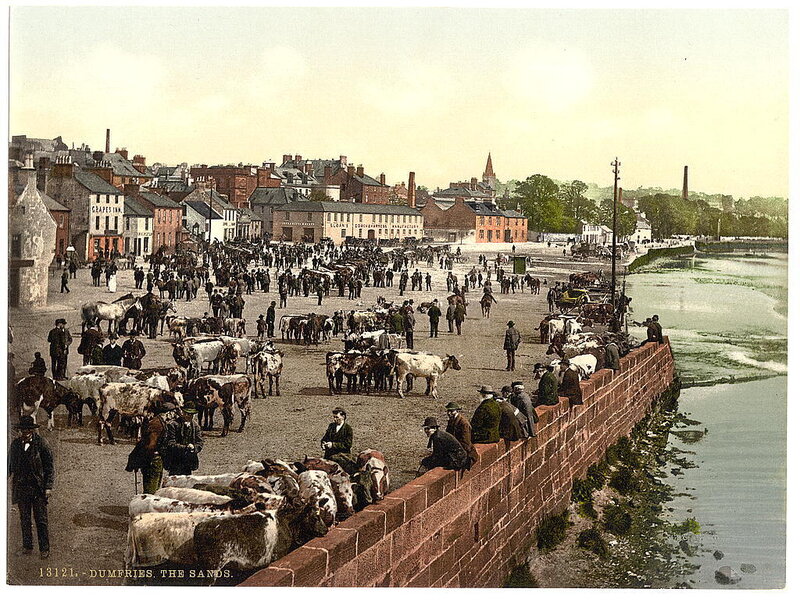 Dumfries Sands livestock market