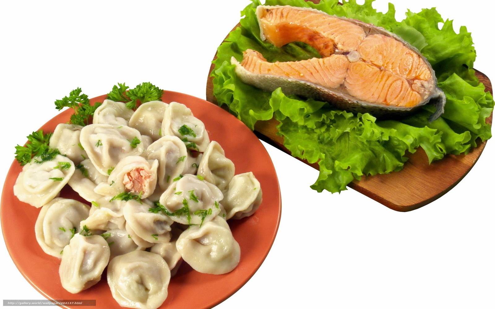 dumplings and salmon fillet