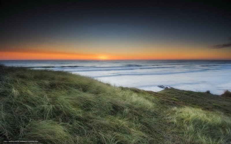 Dune Grass at Sunset — Orange