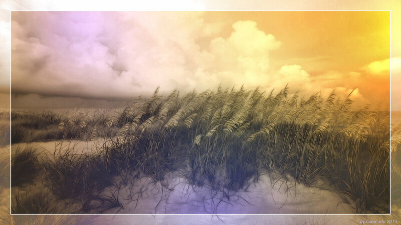 Dune Grass at Sunset — Yellow