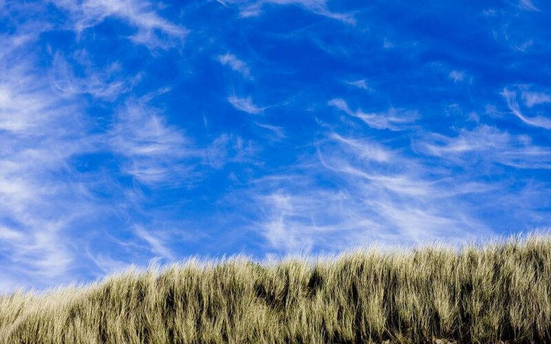 Dune Grass under Sky — Blue