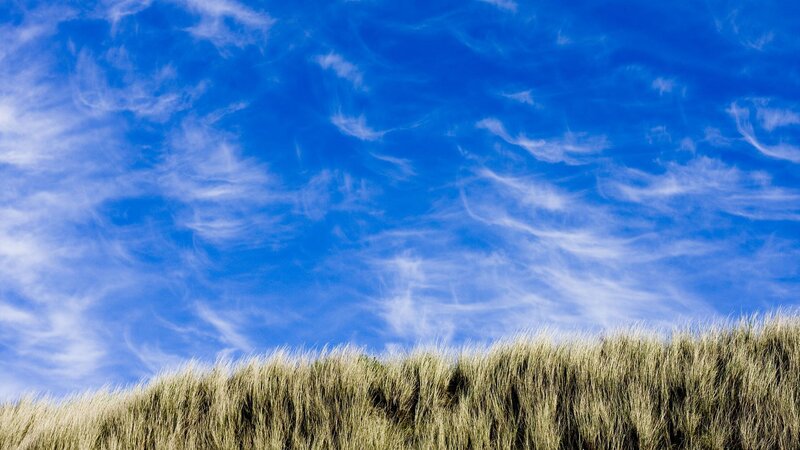 Dune Grass under Sky