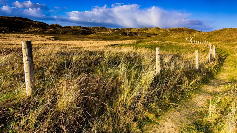 Dune Landscape with Path — Blue