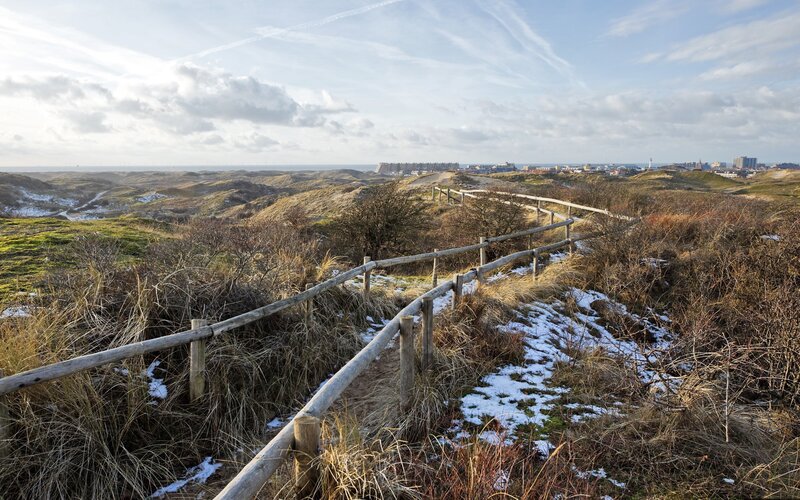 Dune Landscape with Path — Brown