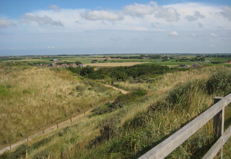 Dune Landscape with Path