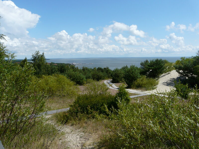 Dune Landscape with Sea