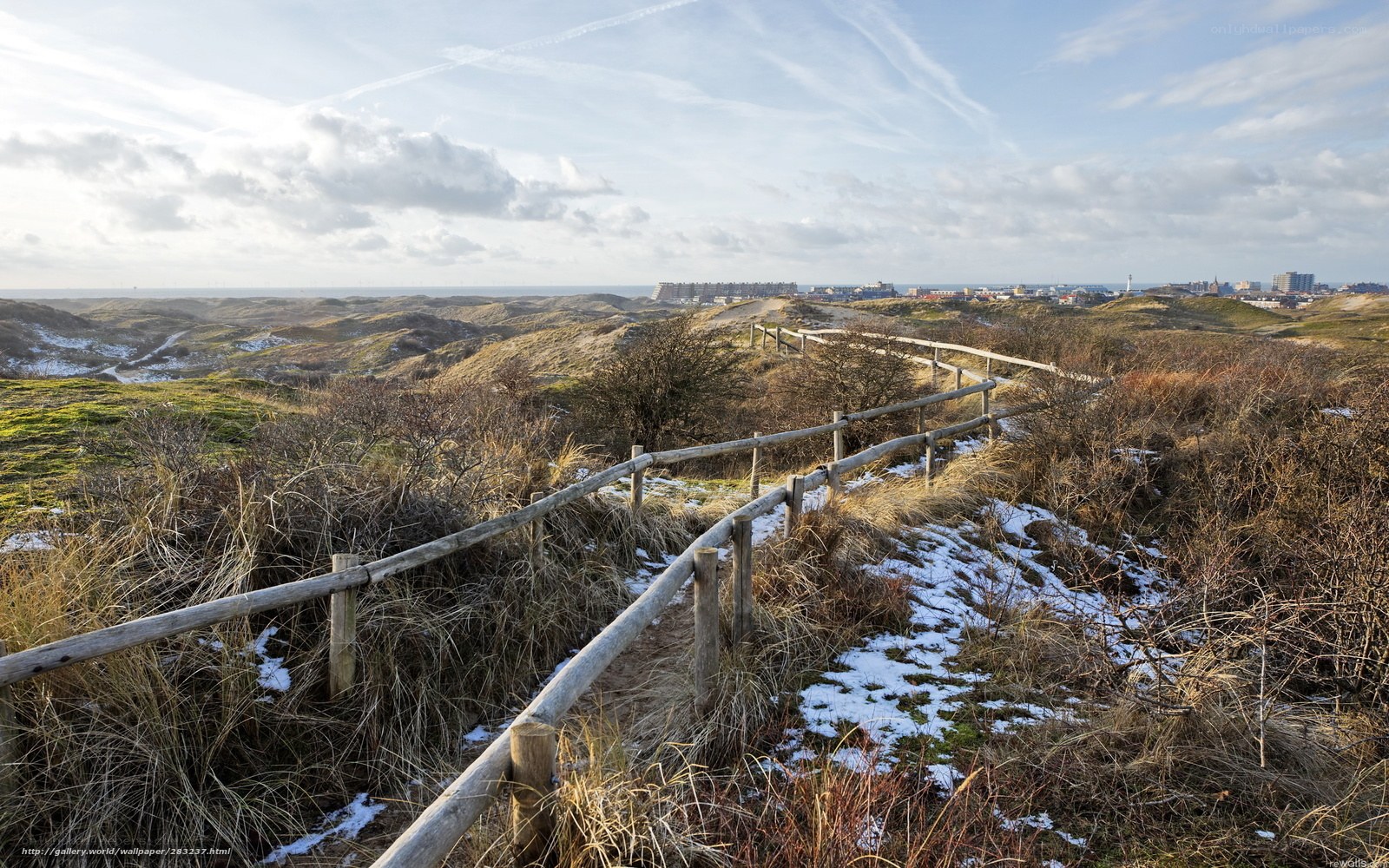Dune path with coastal view