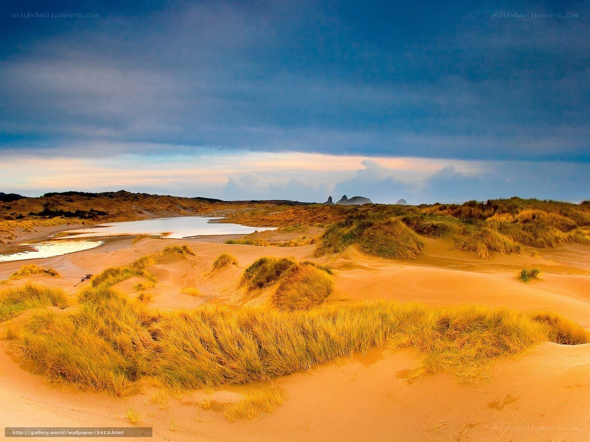 Dunes and coastal lagoon