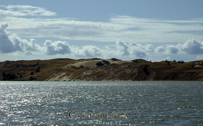 Dunes by a Lake