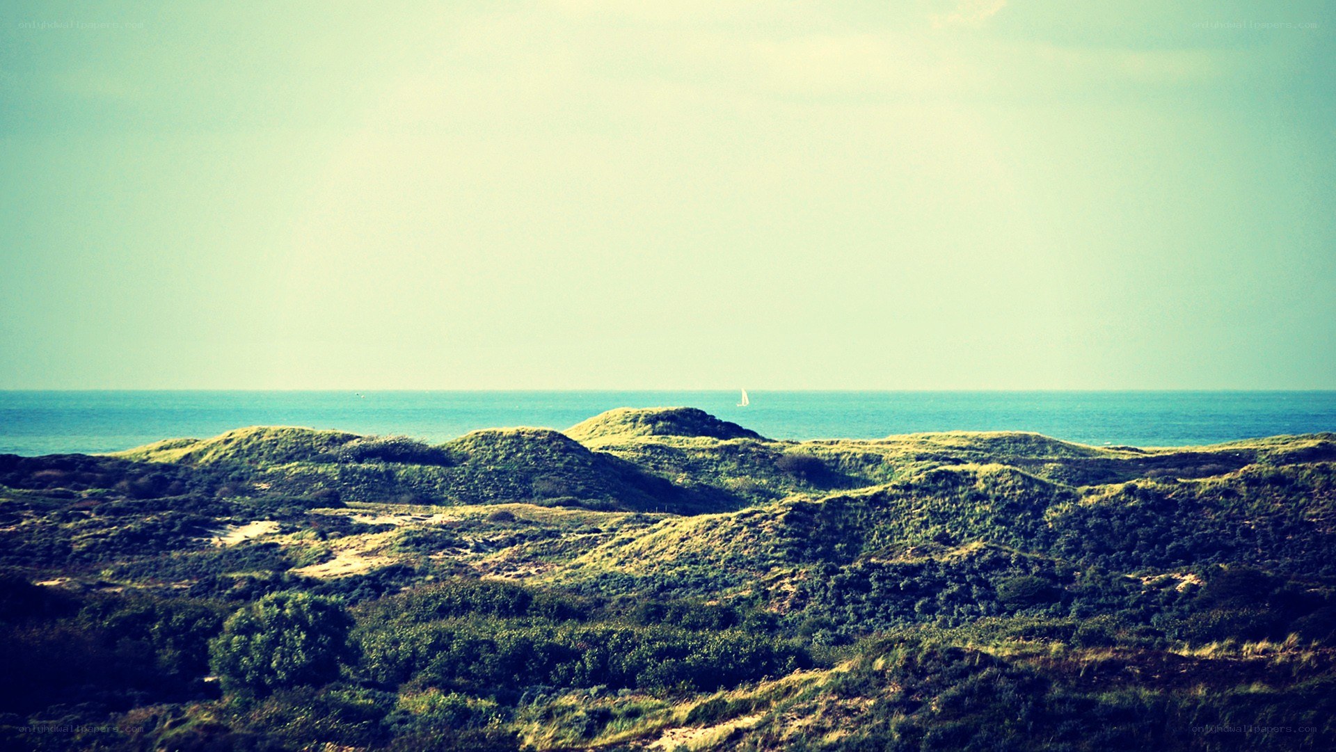 dunes overlooking the sea