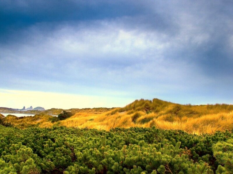 Dunes under a cloudy sky