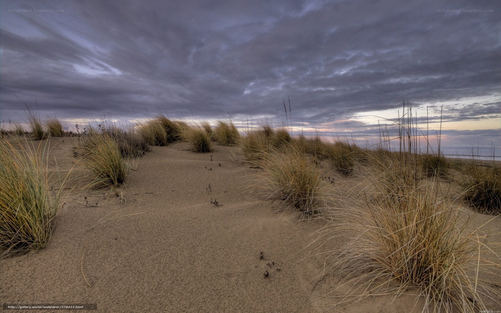 Dunes under a stormy sky