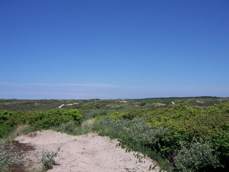 dunes under blue sky