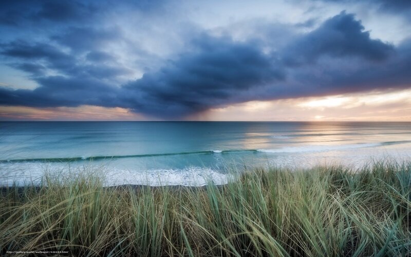 Dunes with Grass by Ocean