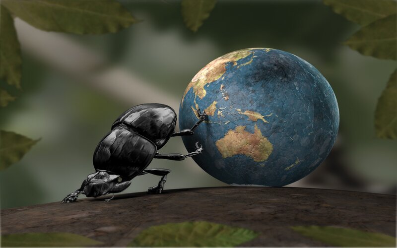 Dung Beetle Pushing Globe