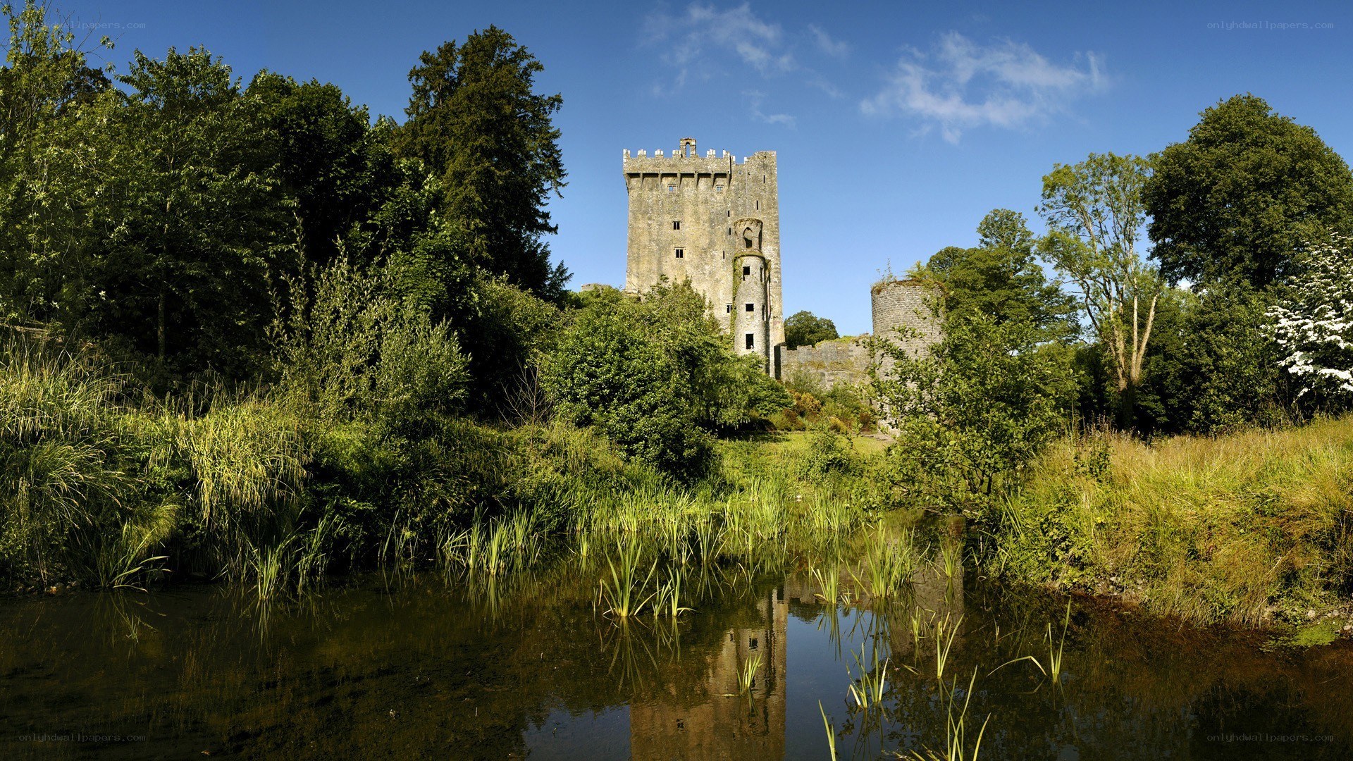 Dungarvan Castle in Ireland