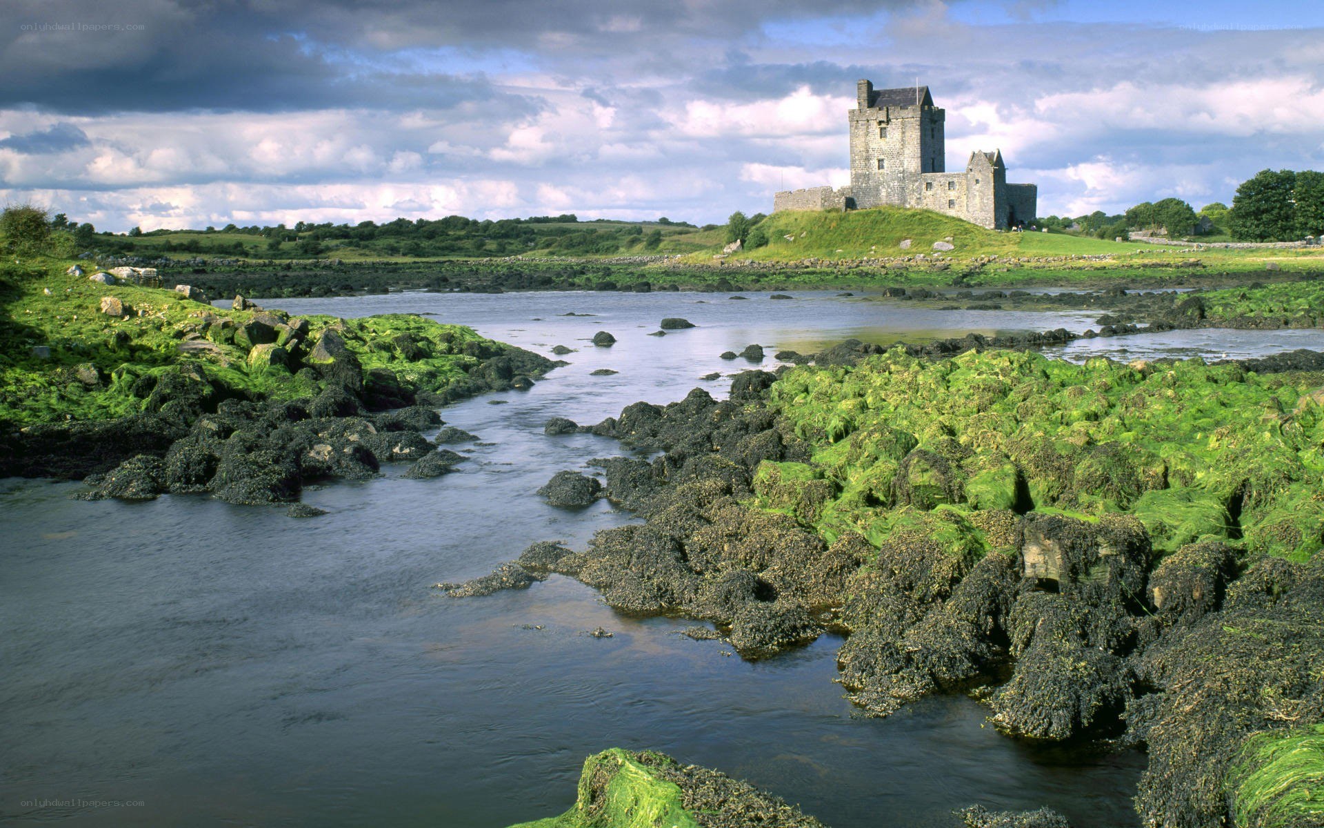 Dunluce Castle by the sea