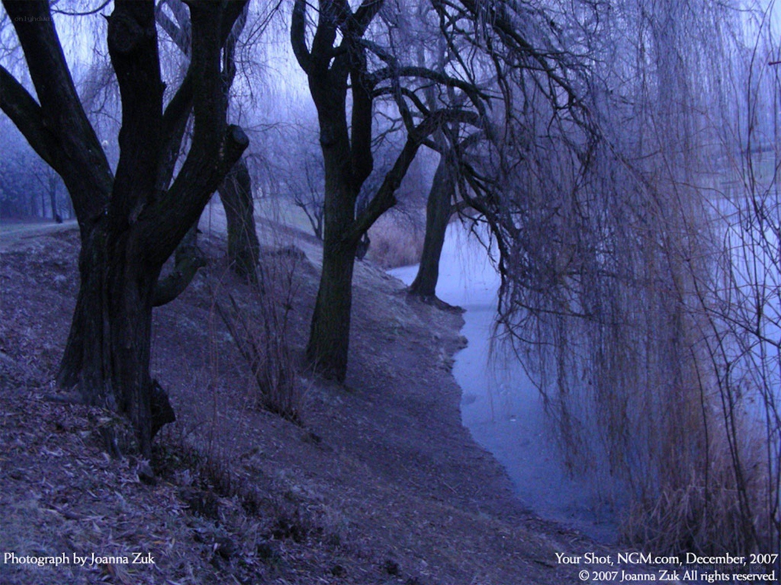 Dusk by the riverbank