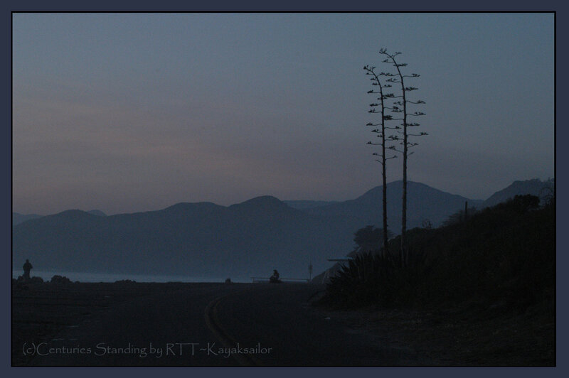 Dusk on a coastal road