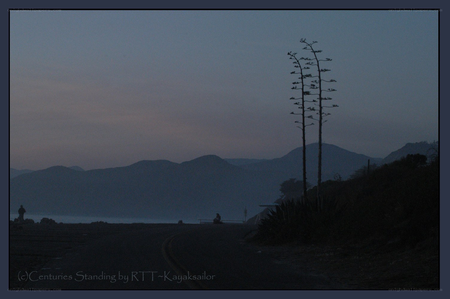 Dusk on a coastal road
