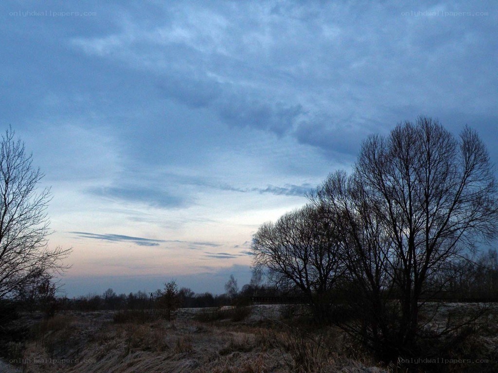 Dusk over a frosty field