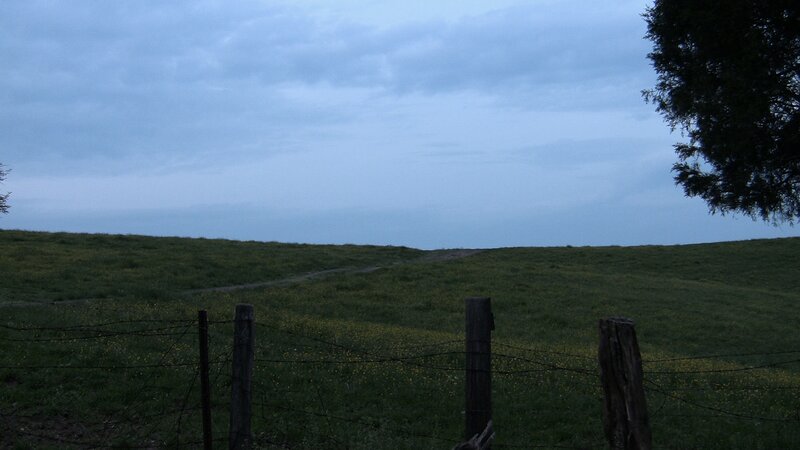 Dusk over a rural field