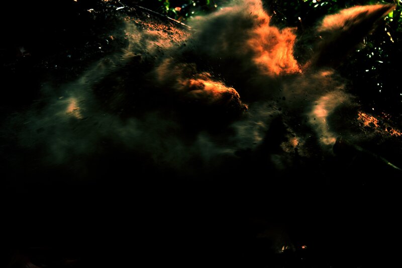 Dust Cloud in Forest