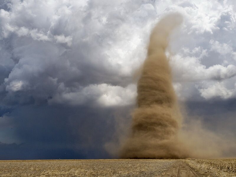 Dust devil in a field