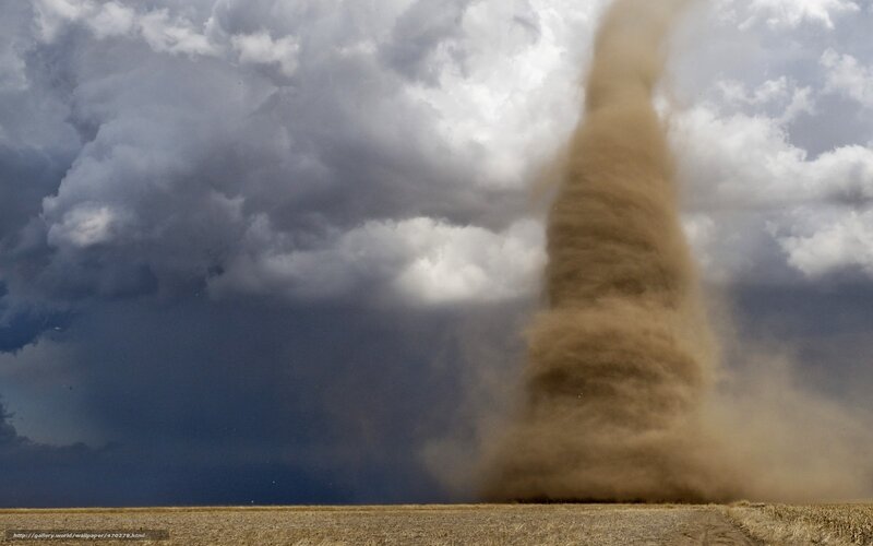 Dust devil in a field