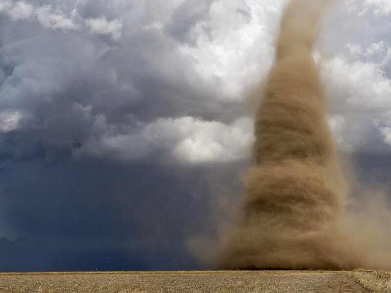 Dust Devil in Field — Brown, Dramatic