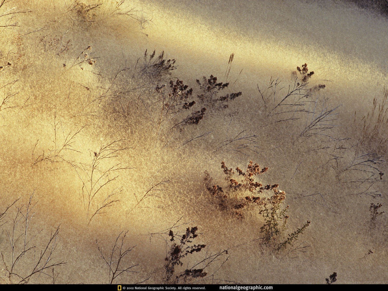 Dust storm in a dry landscape