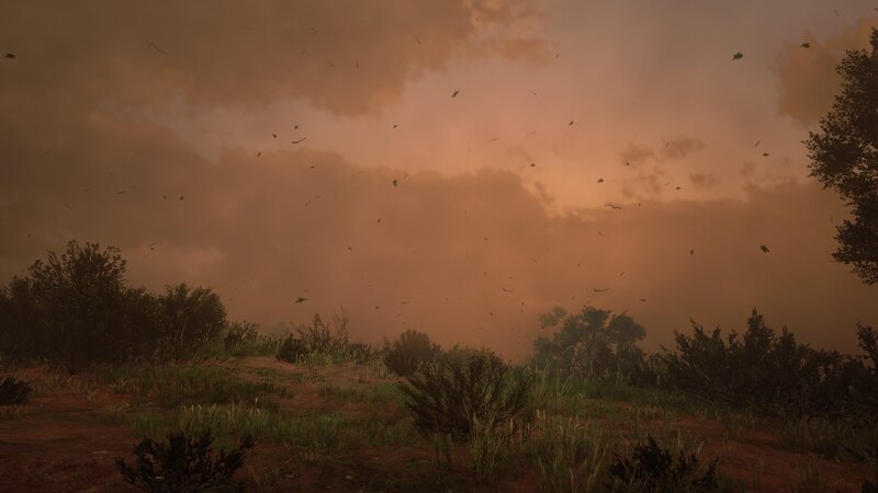 Dusty Landscape with Birds