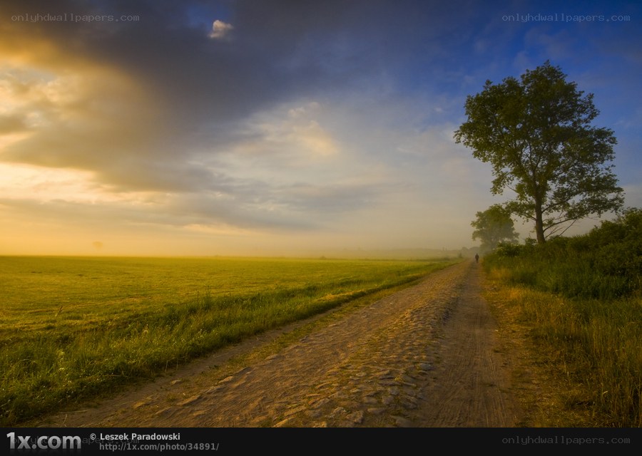 Dusty path at sunrise