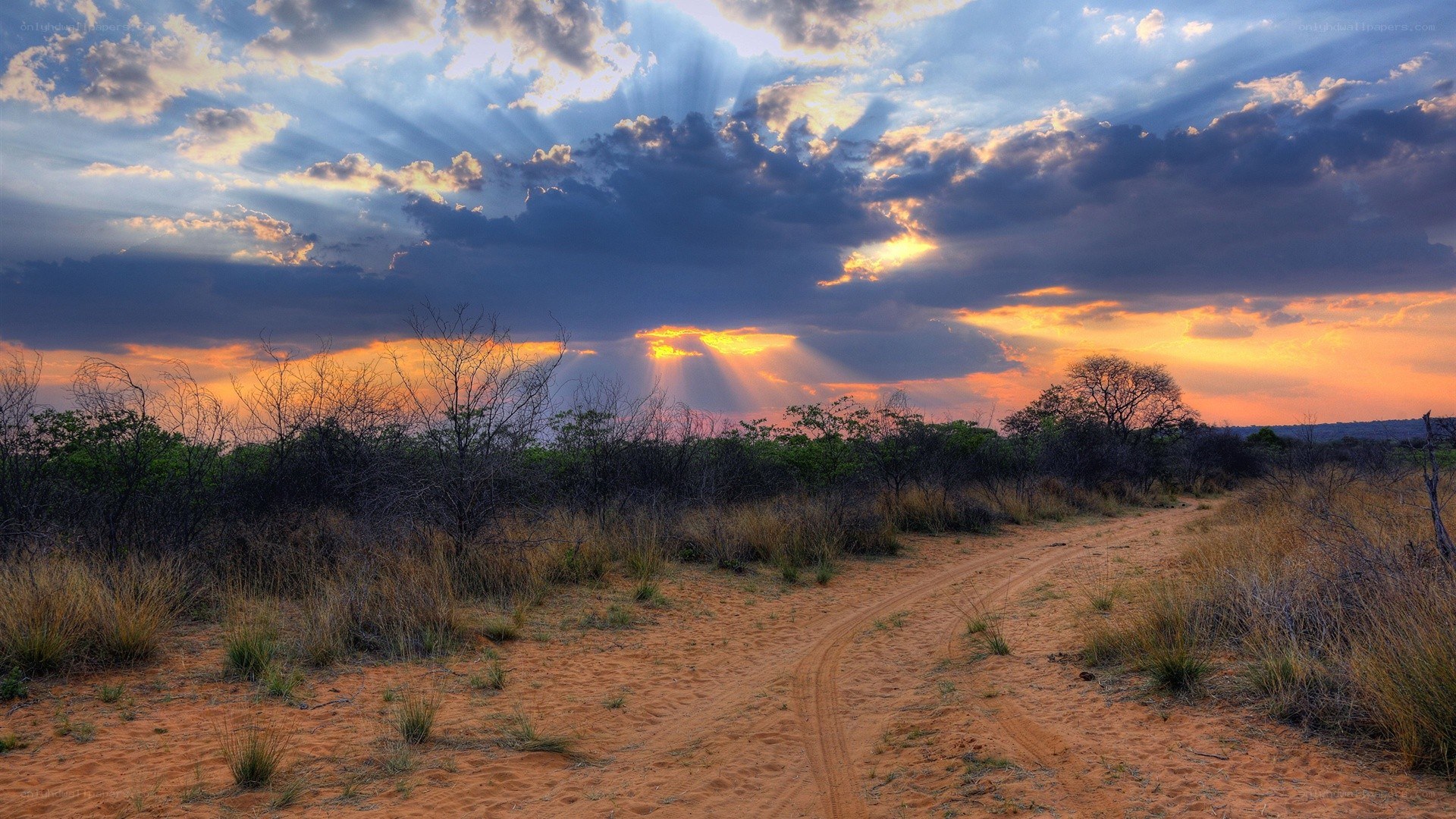 Dusty path at sunset