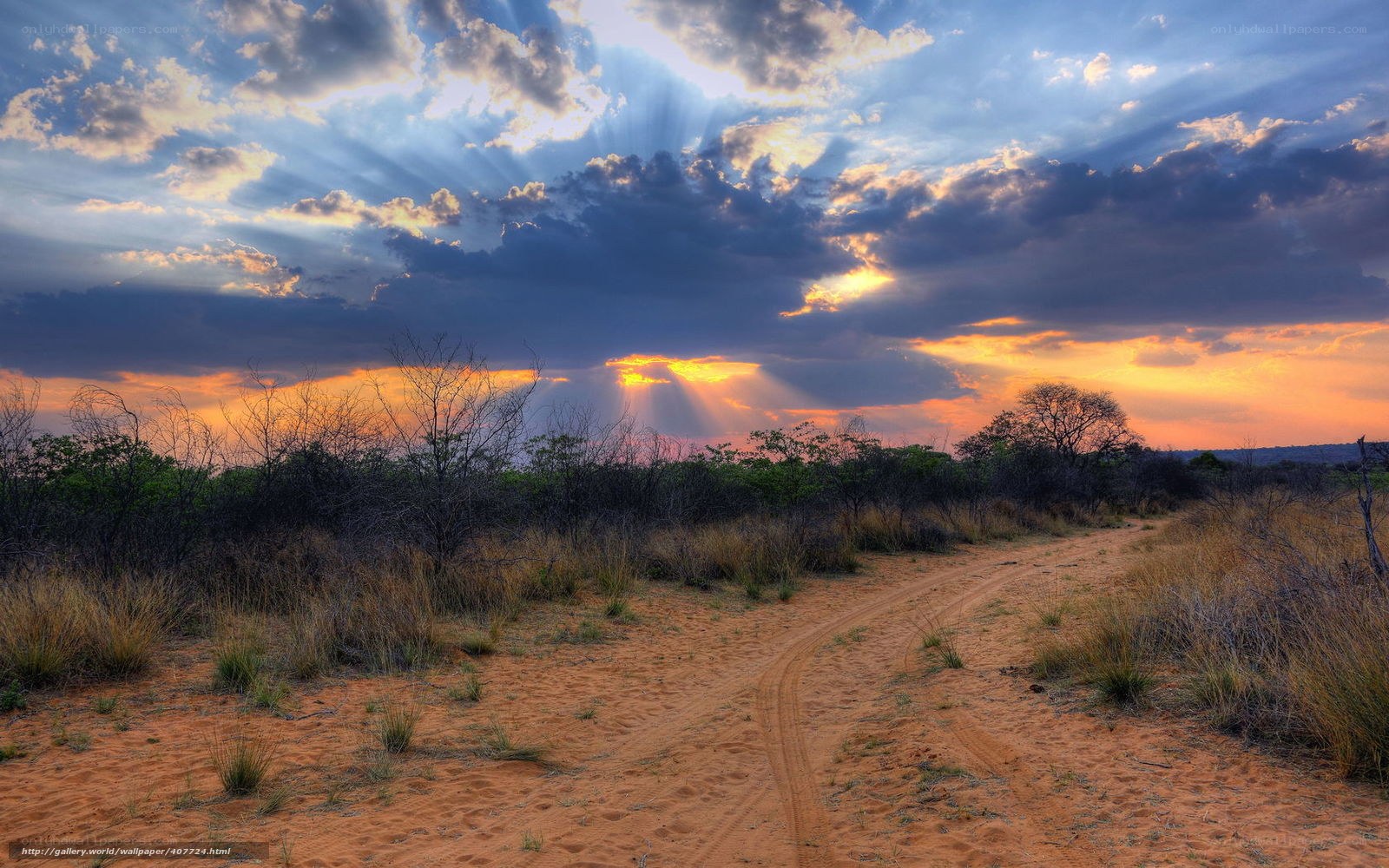 Dusty path at sunset