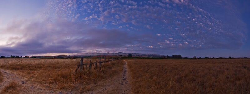 Dusty path through golden fields
