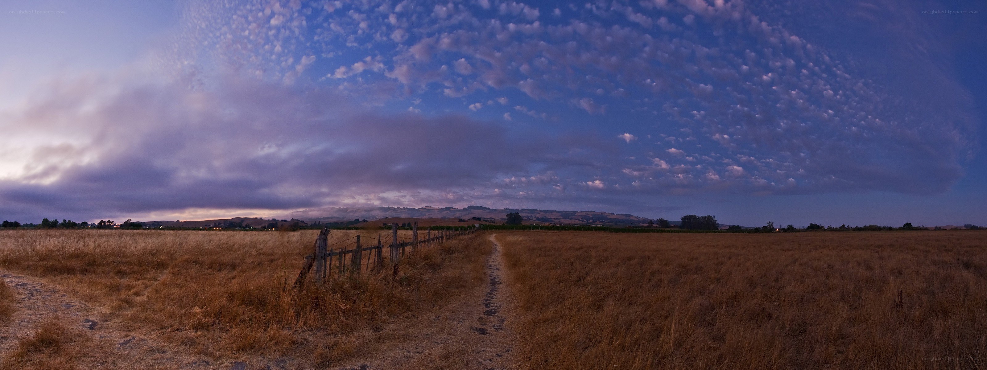 Dusty path through golden fields