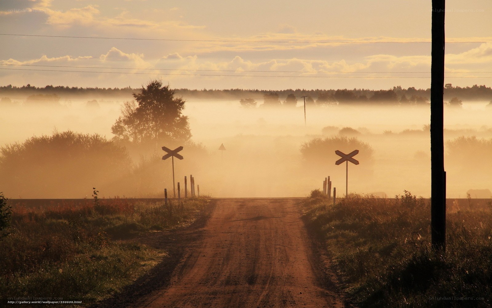 Dusty Road at Dawn