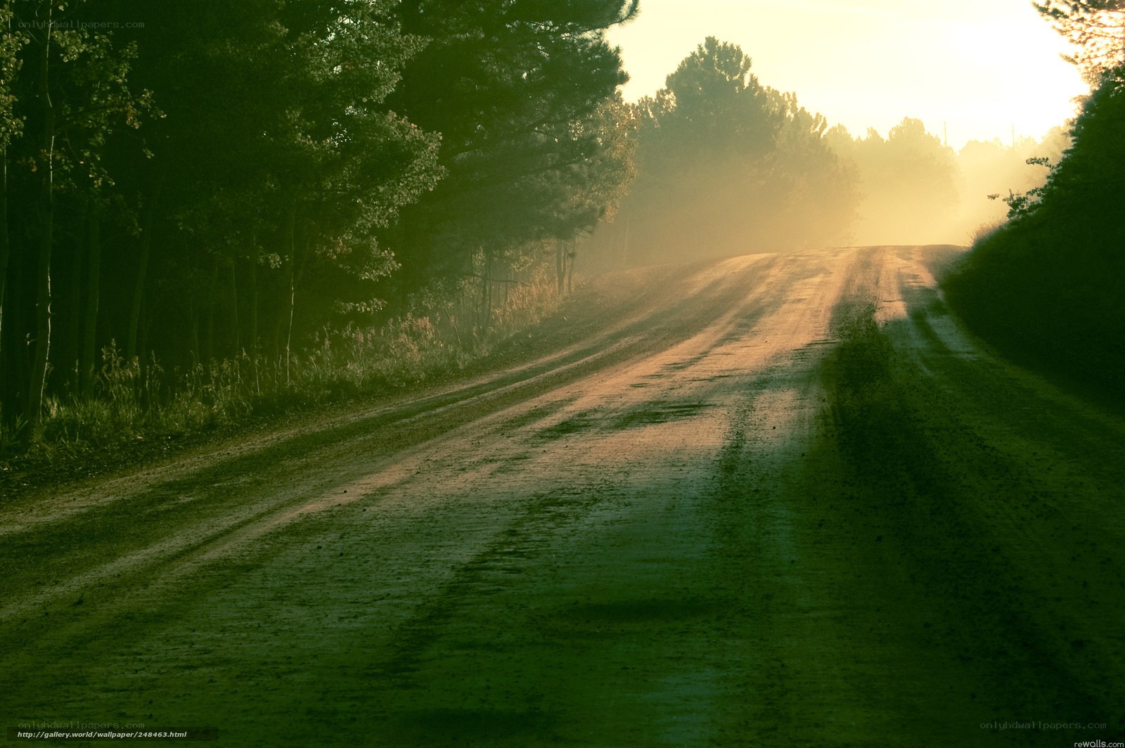 Dusty Road at Sunrise