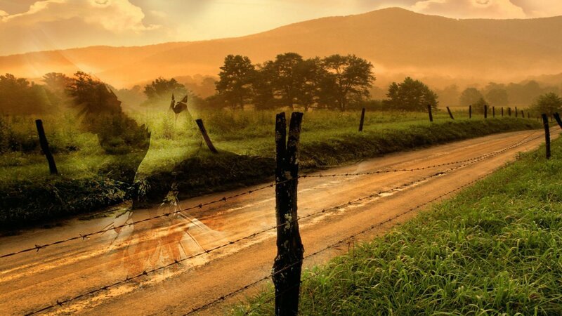 Dusty road at sunrise